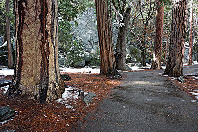 男生女生差差差软件：竞速地平线新作发布，首创动态平衡系统颠覆传统赛车游戏-2