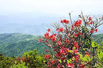 东京热搜app下载安装最新版本：霓虹网络热力追踪，虚拟都市竞速新纪元-3