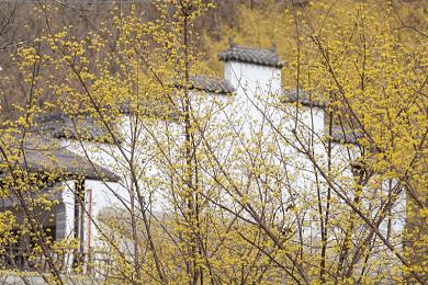 男生和女生擦擦擦app：极速交锋，性别特技赛道上的心智博弈与团队共舞-4