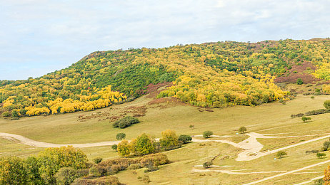 医生把我弄高潮十几次:极速诊疗颠覆传统,驾驶与救援的双重快感体验-3