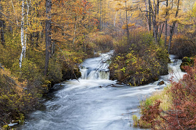 五月天丁香花婷婷：竞速新作极速花语今日上线，花香赛道动态天气革新驾驶体验