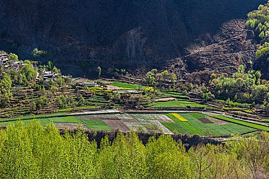 乱一区二区三区四区：从新手到巅峰，征服赛车游戏的终极进阶之路-2