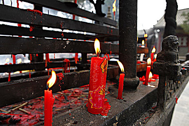 草逼app：荒野疾驰，求生竞速，绿色迷踪中的燃料战争