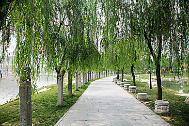 国产的av：中国赛车游戏新作发布，极速征途展现国产汽车荣耀-3