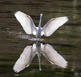 男人和女人在床的APP:双人共驾,默契狂飙,虚拟赛道上的情感交响诗-2