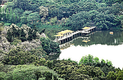 黄色软件无限下载0.3免费：极速狂飙无限改装，全解锁模式带来极致赛车创意体验-2