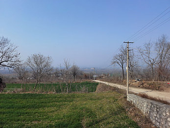 国产色情影视：《极速魅影》今日上线，以本土赛车美学重塑竞速游戏视觉标杆-3