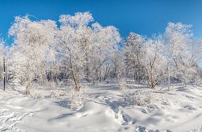 3D火影18:疾风赛道,忍者竞速,查克拉与引擎的传奇对决-2