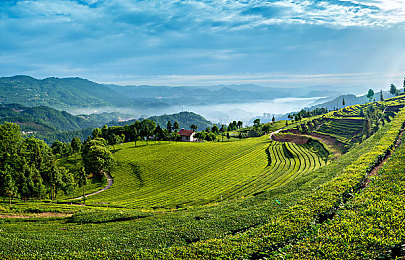大人玩的拨萝卜：硬核农场模拟新作上线，真实机械操控与策略经营完美融合-2