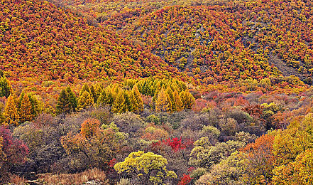 世上最不得安的人1—4：油量表闪烁的良知，后视镜中与自己对视的勇气-3