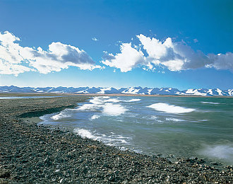 打扑克牌又疼又叫软件免费：扑克策略驱动极速狂飙，心理博弈引爆免费竞速新体验-2