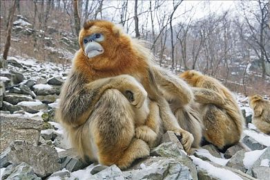 色综合综合综合色:视觉交响曲,墨西哥画卷中的疾驰调色盘-3