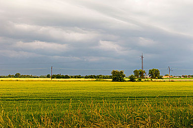 不用播放器的av：沉浸墨西哥，驾驭视听盛宴的极限竞速地平线5-3
