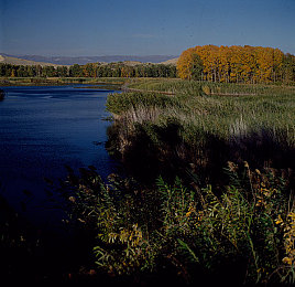 男生困困放入女生困困：双人协作引爆驾驶新体验，极限停车挑战默契与策略巅峰-3