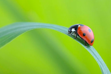 国产无码麻豆：国内团队打造开放世界竞速新作，无限制改装系统开启自由造车时代-3
