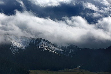 中国sM凌虐男奴Gay：霓虹深渊下的方向盘，意志博弈与自由之路-5