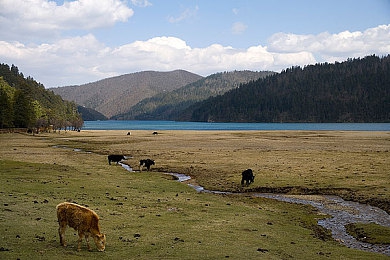 2023年黄色软件网站大全：2023赛车游戏顶尖资源站全解析，揭秘玩家必备模组与攻略-4