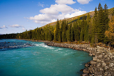 玷污APP：废土狂飙，打造你的专属末日战车，体验极致生存改装-4