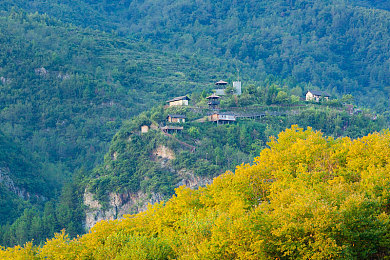 乔巴罗宾发琴2d彩 绘在哪里看：艺术之岛秘闻，温馨合奏绘卷隐藏画廊探幽-2