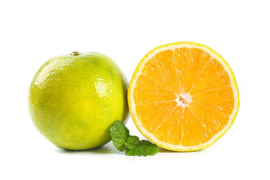 一亲二摸三叉：驾驭机械猛兽，征服墨西哥狂野公路的终极艺术-1