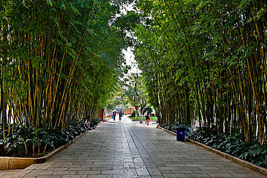 男生和女生差差差还很疼的app：极速差异驾驶挑战，双性赛车体验真实物理碰撞与协作竞速