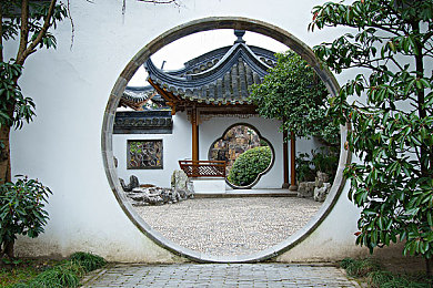 爱情岛论坛极速版：竞速社交新纪元，虚拟赛道邂逅浪漫情缘今日上线