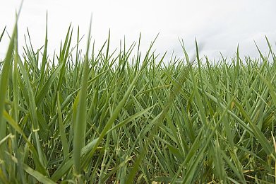 免费剧烈运动扑克视频软件:极速狂飙与策略卡牌,动态竞技新体验等你挑战-2