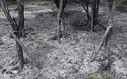 里番AGC:穿越次元赛道,体验剧情与竞速交织的幻想之旅-3