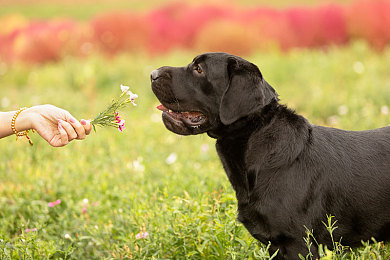 黄网站免费下载软件：墨西哥狂飙，免费极速之旅，地平线五重燃竞速激情-2