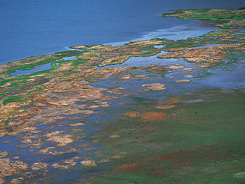 男生女生打扑克差差差差:智谋交锋,心绪对垒,双阵营战术博弈风云录-2