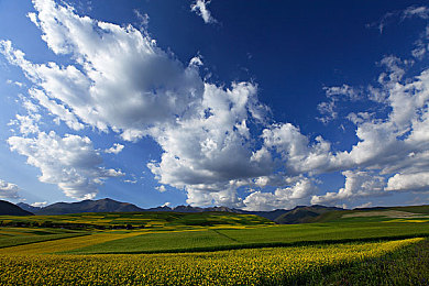 亚精一区二区：驾驭毫厘之间，赛车艺术的动态平衡哲学-2