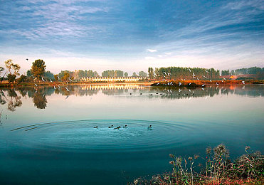 国产成人理伦：理性轴心，虚拟赛道上的策略驾驭艺术-2