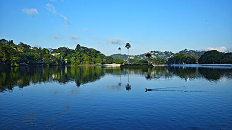 男和女APP：双线协奏，竞速之舞中的差异与共鸣-3