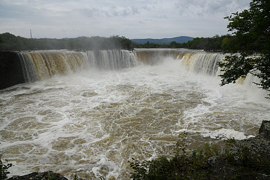 真正人配猪：硬核驾驶搭档智能导航，荒诞旅程解锁终极默契-3