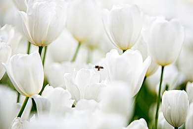 嫩嫩的一线天XXX馒头：在险峻峰峦间驾驭疾风与重力的艺术-3