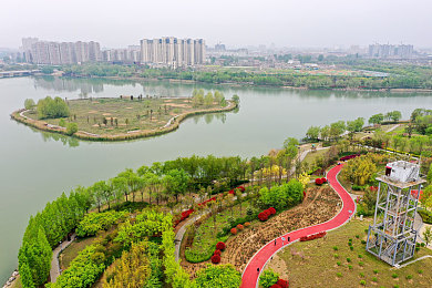 男男网址：极速羁绊，双人共驭的默契赛道对决-2