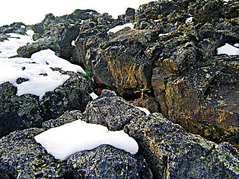 黄色搞鸡软件：极速赛道上的荒诞美学，空气动力学与幽默改装革命-3