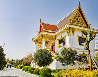 男插女app：极速搭档双人驾驶挑战，默契配合引爆竞速新体验-3