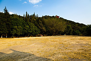 差差的软件：当理想驾驶遭遇现实漏洞，汽车模拟游戏沦为玩家噩梦