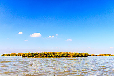 国产A∨:国产汽车文化竞速新作今日上线,真实驾驶体验与历史情怀交织-4