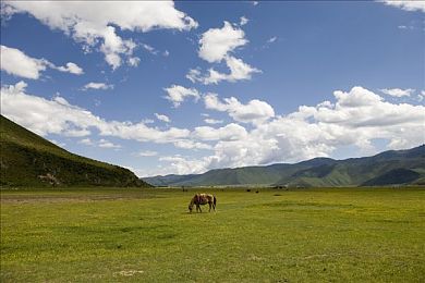 禁止安装十大软件：《极速幻境2077》改装暗藏危机，你的智能座驾如何守住最后防线-2