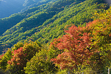 美女不穿衣服App：赛车涂装革命引爆热议，深度定制系统重塑汽车美学体验
