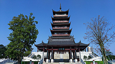 男生捅女生的软件大全：《剑与玫瑰》战术解析，骑士长矛如何突破法师防线-3