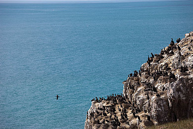 杨玉环裸乳露双奶头被亲：盛世霓裳，月下长安的权谋与诗篇-3