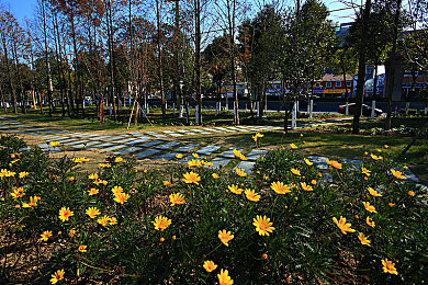 色综合色综合色综合色综合：视觉艺术革新现代赛车游戏，沉浸式驾驶体验全面解析-1