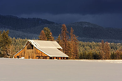 打朴克又疼又叫：昼夜狂飙，在极品飞车热度中体验惊险胜利的极致快感