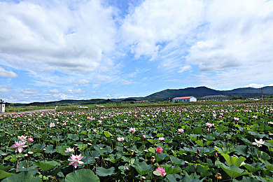 牛牛精品：经典座驾寻珍之旅，打造你的私人数字汽车博物馆-3