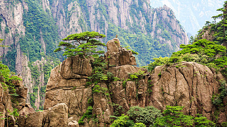 日批发软件免费下载安装tintok：虚拟车仓竞速盛宴，地平线上疾驰视觉狂欢-3