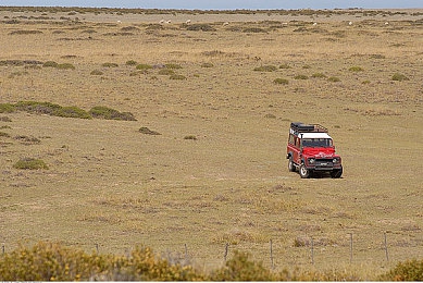 免费b站网站：墨西哥狂飙，地平线上永不散场的改装盛宴-2