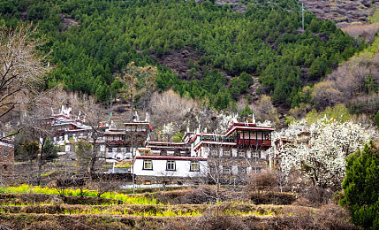 色我综合:霓虹城赛车传奇,自定义角色与改装之旅-3